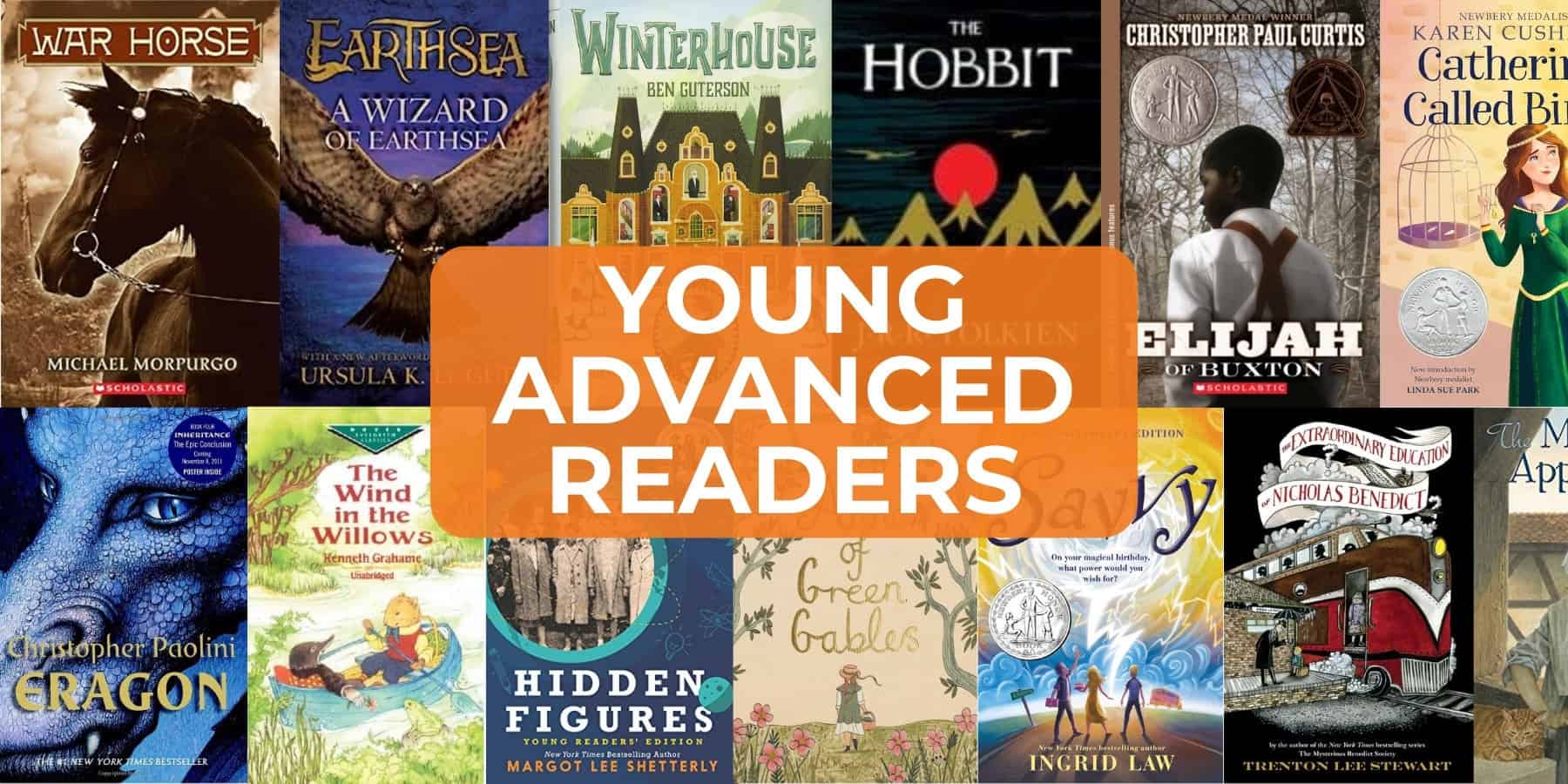 Age-Appropriate Books for Young Advanced Readers