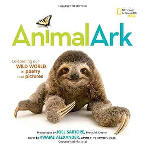 Haiku poems and Haiku poetry