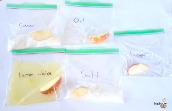 science experiment with apples