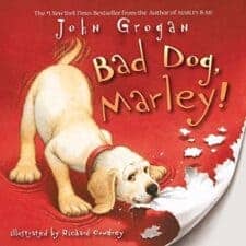 Children's Picture Books about Pets