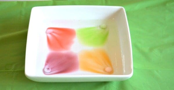 Charlie and the Chocolate Factory Candy Experiments