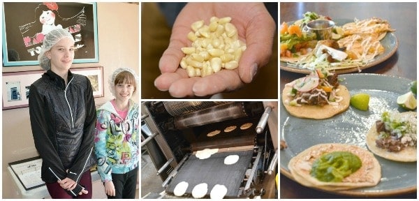 farm to table activities with kids