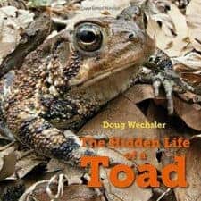 Picture Books About Reptiles & Amphibians