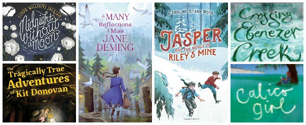 historical fiction middle grade books 2017