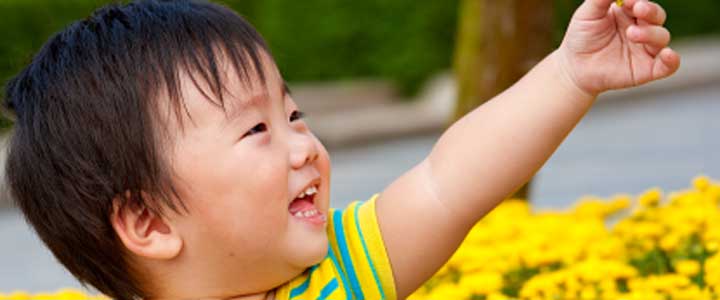 New Picture Books for Children