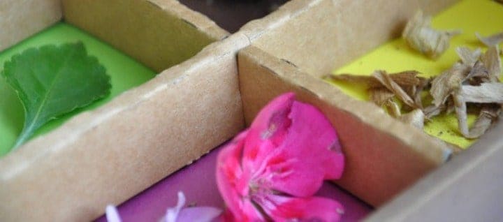 Our Favorite Summer Boredom Busters for Kids