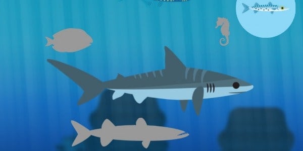 Get Kids Excited about Science and Math Apps