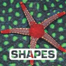 15 Fun Children's Books About Shapes